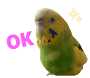 839000324