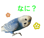 839000327