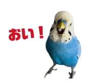 839000330