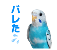 839000332