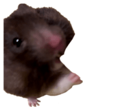 839000681