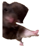 839000682
