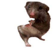 839000684