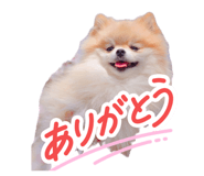 839001167