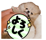 839001171