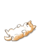 839001457