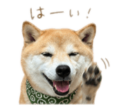 839001989