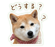 839001992