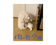 839016786