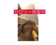 839016788