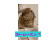 839016791