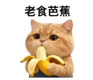 839016873