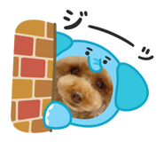 839017415