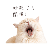 839017685