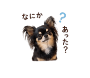 839017799
