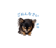 839017800