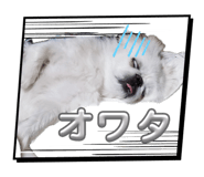 839017843