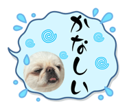 839017853