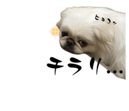 839017855
