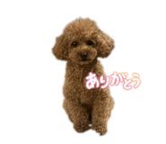 839018209