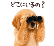 839029299