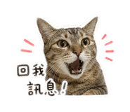 839029414