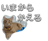 839030862