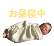 839031131