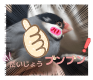 839031168