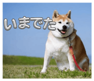839031479