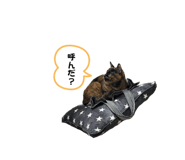 839031491