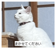 839032491