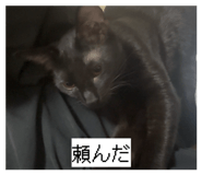 839032500