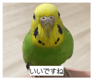 839032503