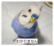 839032504