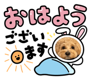 839033485