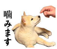 839033836