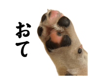 839033843