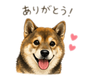 839033858