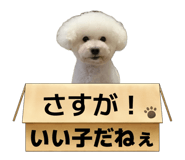 839034135