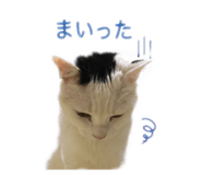 839034417