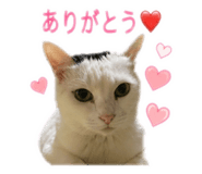 839034418