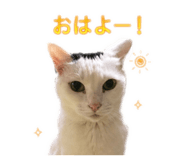 839034420