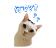 839034422