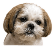 839034425