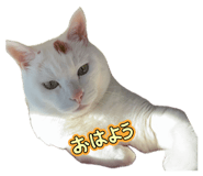 839034683