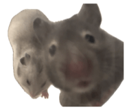 839035196