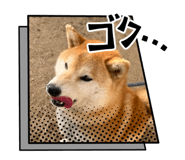 839035928