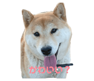 839035931
