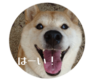 839035934